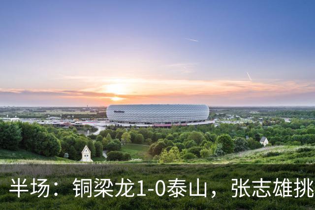 半场：铜梁龙1-0泰山，张志雄挑射破门