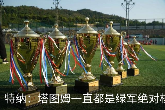 特纳：塔图姆一直都是绿军绝对核心 双探花老大之争不符现实