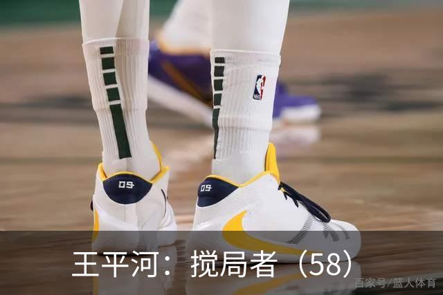 王平河：搅局者（5/8）
