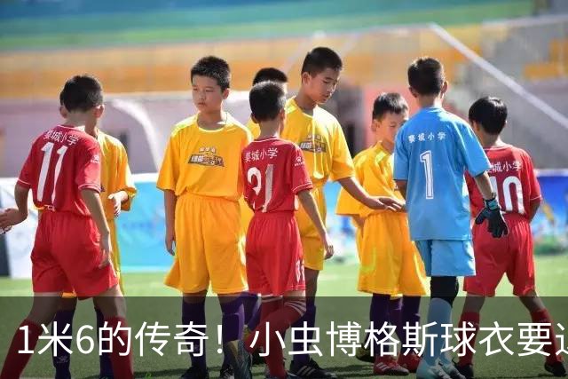 1米6的传奇！小虫博格斯球衣要退役了！！！